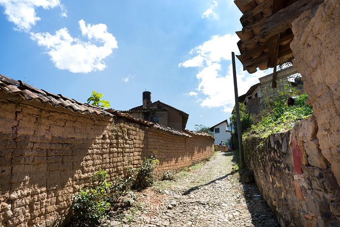 San Sebastian Tour - Coffee Factory Tour: Discovering Organic Beans