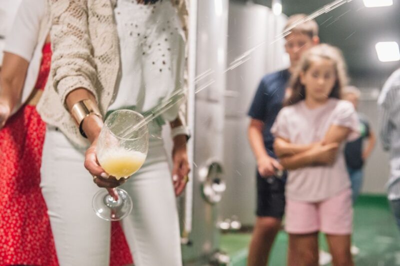 San Sebastián: Traditional Cider House Tour with Lunch - The Guide and Group Atmosphere