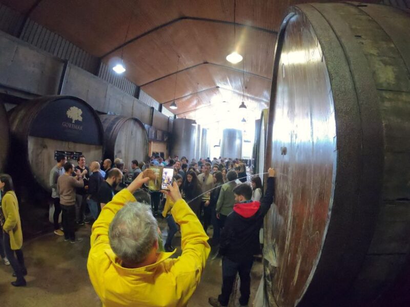 San Sebastián: Unique and Fun Basque Cider Culture Tour - Exploring the Unique Basque Cider Tradition in San Sebastián