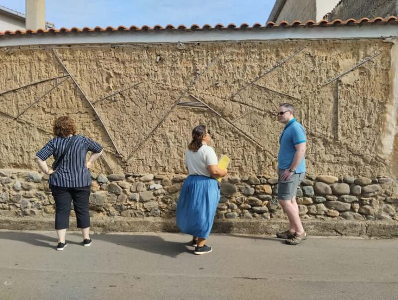 San Sperate Murales Tour - Visit a Typical Sardinian Village - Key Points