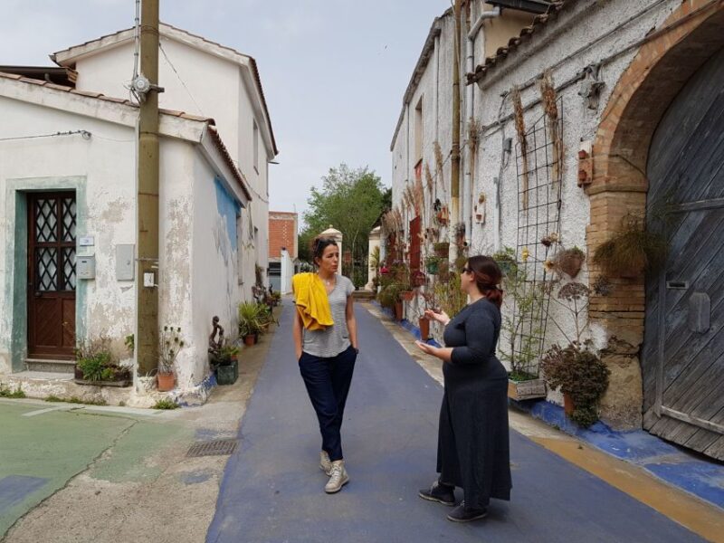 San Sperate Murales Tour - Visit a Typical Sardinian Village - Practical Aspects: Booking, Cost, and Guide Experience