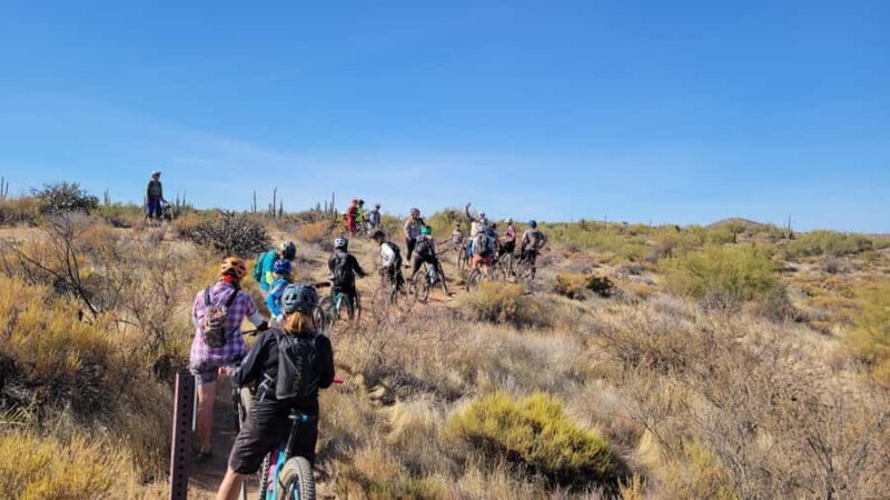 San Tan Regional Park: Sonoran Desert Mountain Bike Tour - Suitable For Active Travelers and Nature Lovers