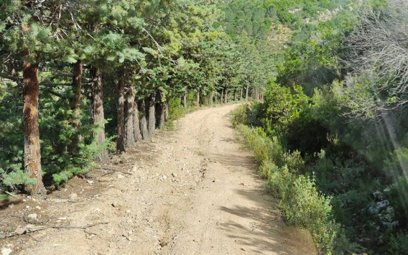 San Teodoro: Rio Pitrisconi Jeep and Hiking Tour - The Scenic Mountain Drive in a 4x4 Jeep