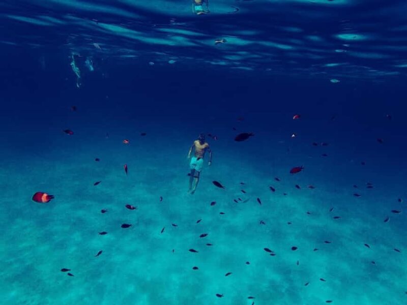 San Teodoro: Tavolara and Molara Islands Dinghy Excursion - Scenic Stop at Grotta di Proratora