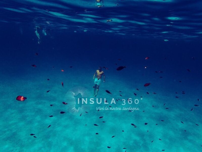 San Teodoro: Tavolara and Molara Islands Dinghy Excursion - Practical Logistics and Comfort Considerations