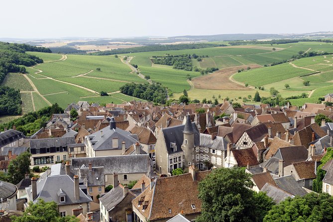 Sancerre & Pouilly-Fumé Wine Tour with Local Goats' Cheese and the River Loire - Discover the Charm of the Central Loire Valley with This Private Wine Tour