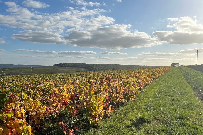 Sancerre Private Wine Tour with 10 Tastings and Lunch from Paris - Scenic Stops in the Loire Valley Region