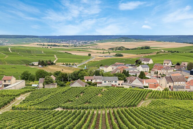 Sancerre Private Wine Tour with 10 Tastings and Lunch from Paris - The Guide’s Role and Expertise
