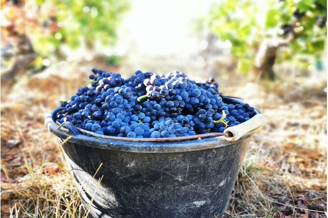 Sancerre Private Wine Tour with 10 Tastings and Lunch from Paris - Logistics, Booking, and Flexibility