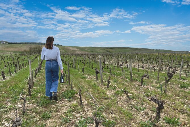 Sancerre Small Group Wine Day Trip with Wine Tastings and Lunch - Return to Paris with Newfound Wine Knowledge