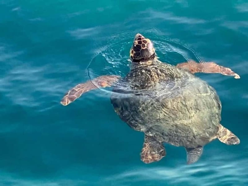 Sand And Sea Private Self Drive Speedboat Rental No Licence - What’s Included in the Speedboat Rental