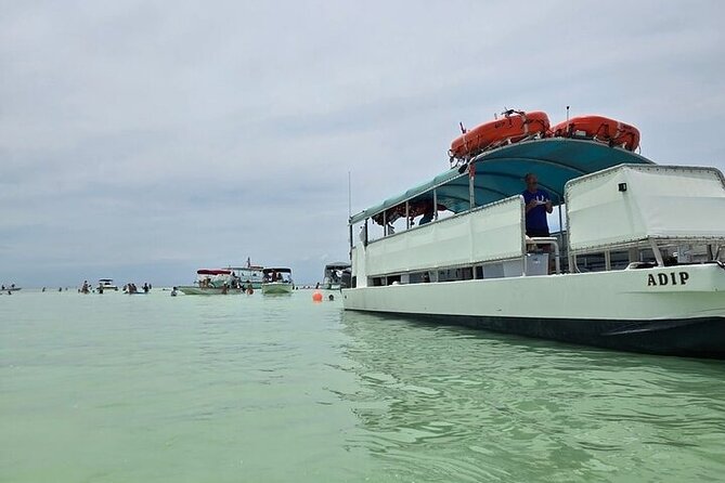 Sandbar Boat Tour in Marathon Florida - Discover the Unique Sandbar Experience in Marathon, Florida