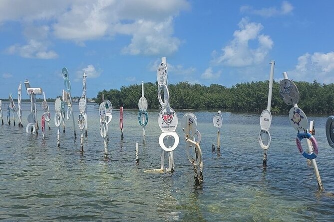 Sandbar Boat Tour in Marathon Florida - The Itinerary and What to Expect During the 2-Hour Stop