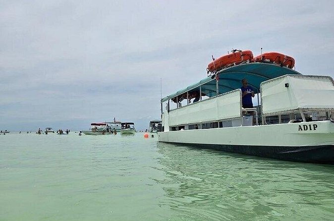 Sandbar Boat Tour in Marathon Florida - The Provider: Seahorse Water Adventures