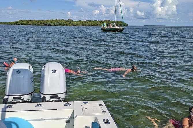 Sandbar Excursion in Key West - The Experience of Wildlife and Nature