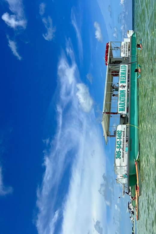 Sandbar Excursion - Vacation Like the Locals Do! - Discover the Sandbar Excursion in Marathon, Florida
