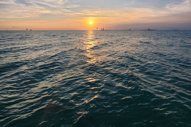 Sandbar Excursions with Snorkeling and Sunset Cruises in Key West - Key Points