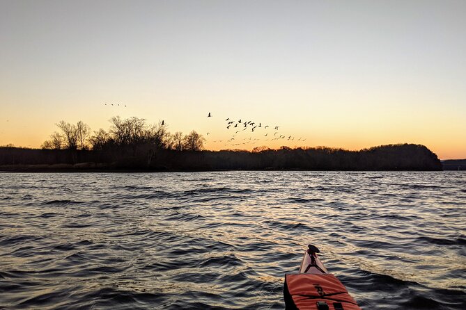 Sandhill Crane Kayak Tour with Chattanooga Guided Adventures - Weather Considerations and Preparation Tips