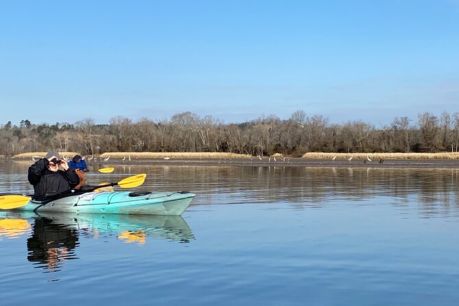 Sandhill Crane Kayak Tour with Chattanooga Guided Adventures - The Bird-Watching Highlights: Sandhills, Eagles, and More