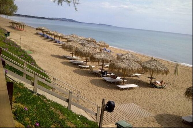 Sandy Shores Shuttle: Your Gateway to Kourouta Beach - The Guide’s Role and Tour Experience