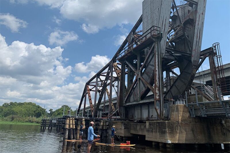 Sanford: Guided SUP or Kayak Manatee-Watching Tour - Key Points