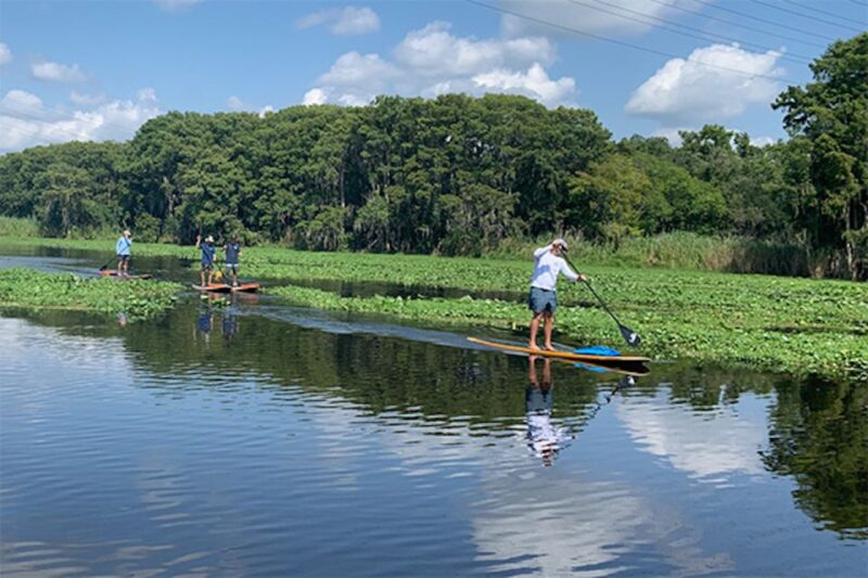 Sanford: Guided SUP or Kayak Manatee-Watching Tour - Discover the Waterways of Sanford with Guided Paddle Tours