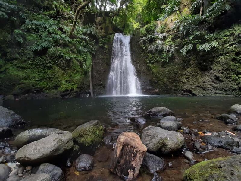 Sanguinho Hike & Furnas Hot Springs Experience - Relaxing in the Terra Nostra Hot Springs