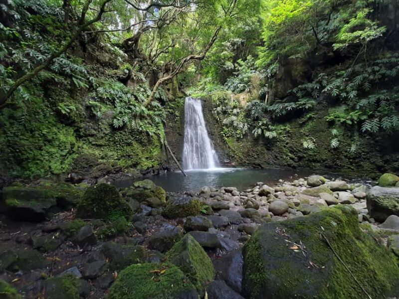 Sanguinho Hike & Furnas Hot Springs Experience - Practical Details: Logistics and Group Size