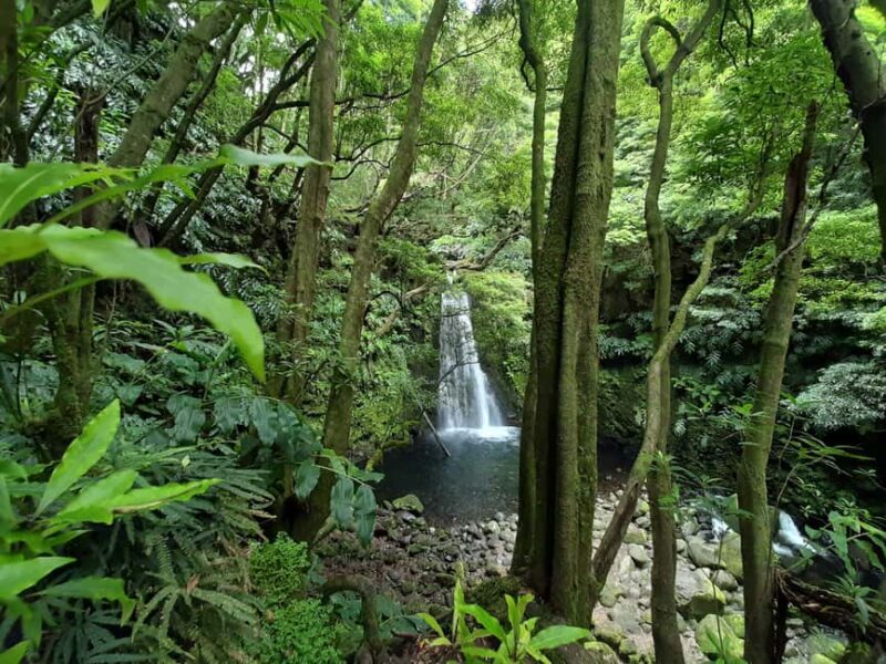 Sanguinho Hike & Furnas Hot Springs Experience - Who Will Enjoy This Tour the Most?