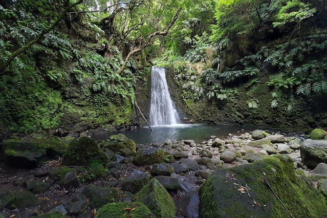 Sanguinho hike, Salto do Prego Waterfall and Furnas hotsprings - Explore Sao Miguel’s Natural Wonders on a Guided 7-Hour Tour
