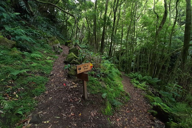 Sanguinho hike, Salto do Prego Waterfall and Furnas hotsprings - Scenic Viewpoints over Povoação and the North Coast