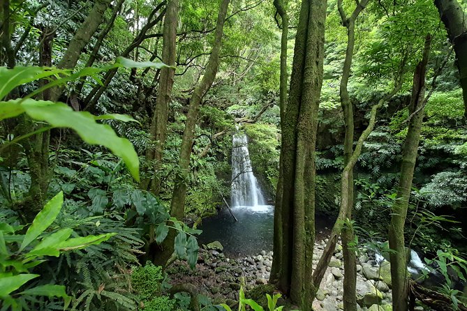 Sanguinho hike, Salto do Prego Waterfall and Furnas hotsprings - Flexibility and Cancellation Policies