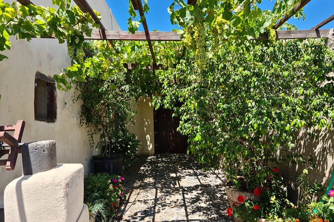 Sanotini Oia Wine Tasting and Local Places Half Day Tour - Art Space Museum & Art Gallery: A Cultural Interlude in a Historic Winery