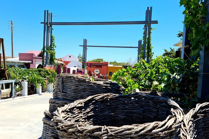 Sanotini Oia Wine Tasting and Local Places Half Day Tour - Who Will Enjoy This Tour Most?