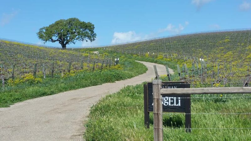 Santa Barbara: E-bike wine tour w/ transport, tasting, lunch - Scenic Cycling Through Santa Ynez Valleys Farms and Villages