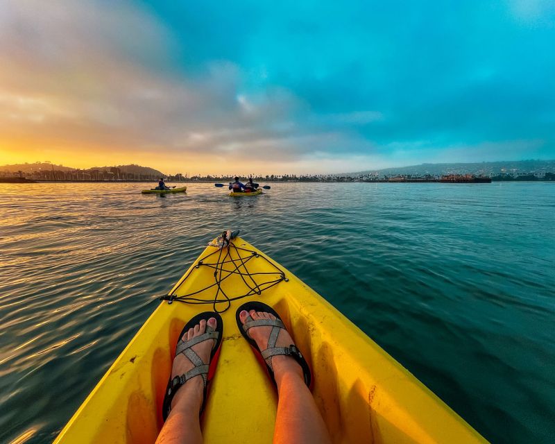 Santa Barbara Harbor: Sunset Kayak Tour (2 Hours) - Wildlife and Nature Encounters During the Tour