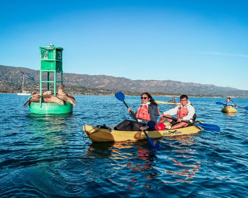 Santa Barbara Harbor: Wildlife Kayak Tour (2 Hours) - Key Points