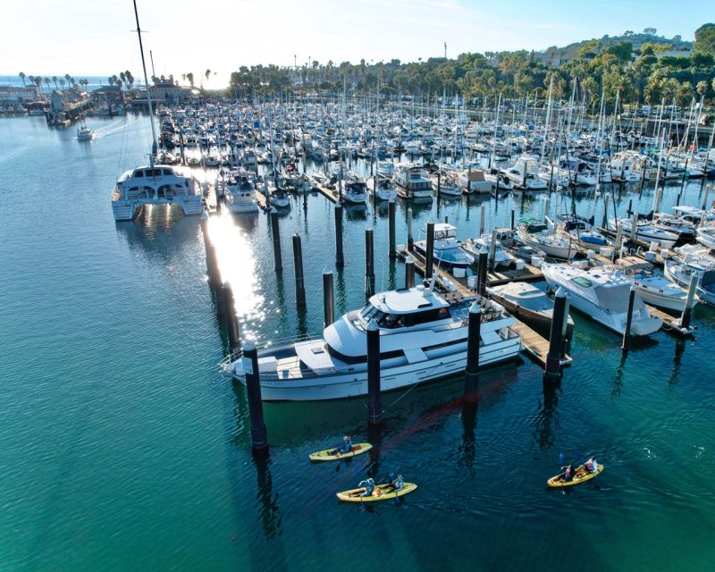 Santa Barbara Harbor: Wildlife Kayak Tour (2 Hours) - The Route: Exploring Santa Barbara’s Marine and Coastal Scene
