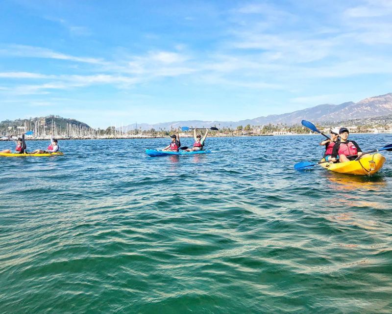Santa Barbara Harbor: Wildlife Kayak Tour (2 Hours) - Who Will Enjoy This Tour the Most