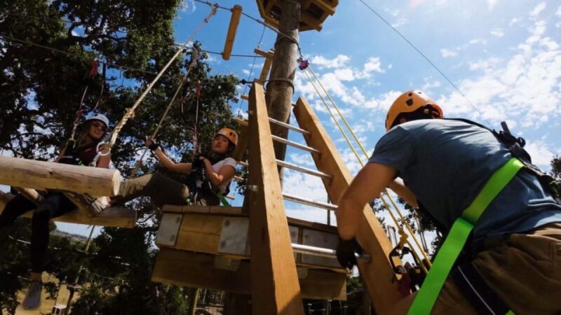 Santa Barbara: High Ropes Adventure Course - Comparing the High Ropes Course to Other Santa Barbara Activities