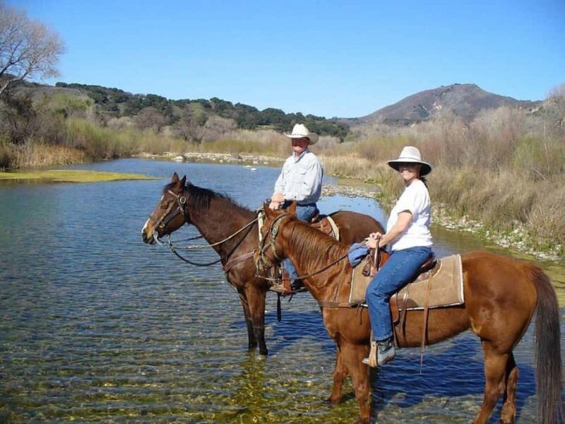 Santa Barbara: Scenic Canyon Horseback Riding Tour - Key Points