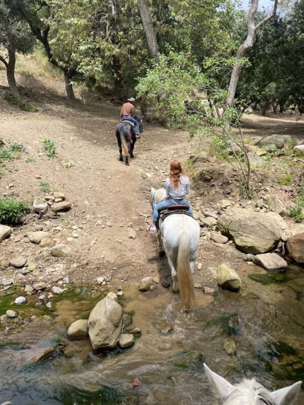 Santa Barbara: Scenic Canyon Horseback Riding Tour - Santa Barbara’s Canyon Trails and Scenic Highlights