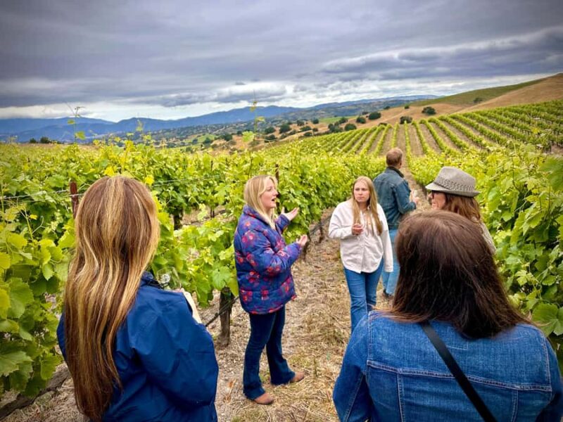 Santa Barbara: Small-Group Wine Tour to Exclusive Vineyards - Explore Santa Barbara’s Private Vineyards with a Small-Group Tour