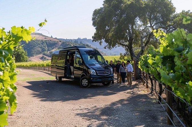 Santa Barbara, Solvang, Wine Country Private from Los Angeles - The Guide and Transportation Experience
