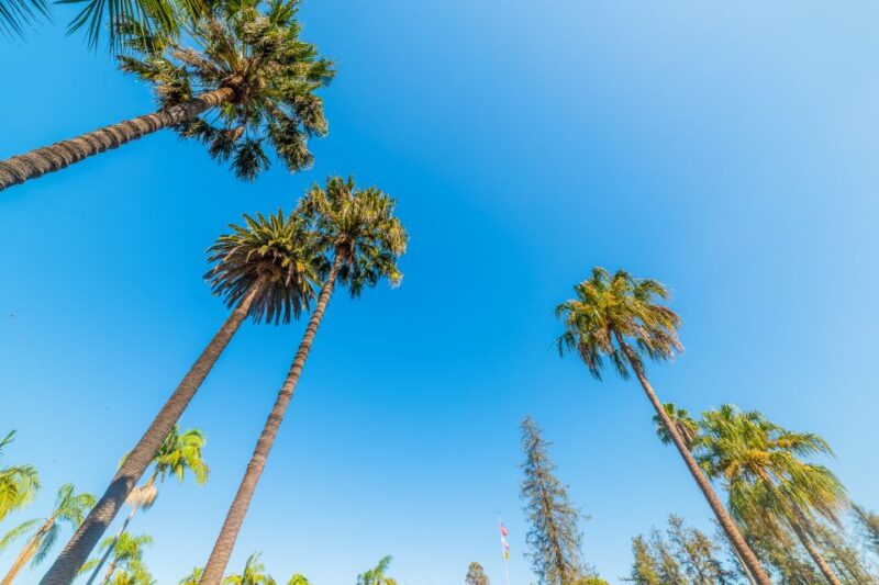 Santa Barbara: Wine, Chocolate and History Walking Tour - Guide’s Expertise and Tour Atmosphere