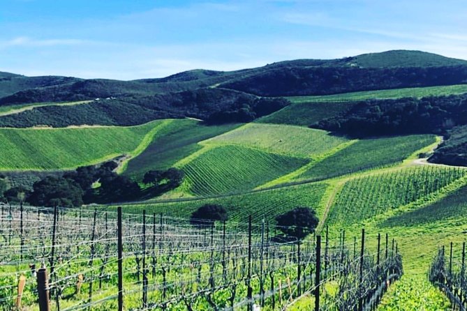 Santa Barbara Wine Country Tour - Scenic Drive and Regional Insights