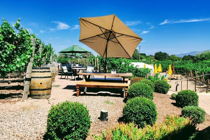 Santa Barbara Wine Tasting Day Tour from Los Angeles - Key Points