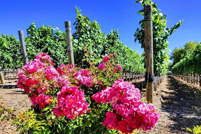 Santa Barbara Wine Tasting Day Tour from Los Angeles - Vineyard Visits in Santa Ynez Valley and Wine Tastings