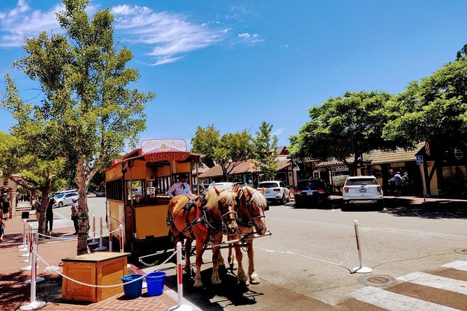 Santa Barbara Wine Tasting Day Tour from Los Angeles - Scenic Views of Lake Cachuma and Los Padres National Forest