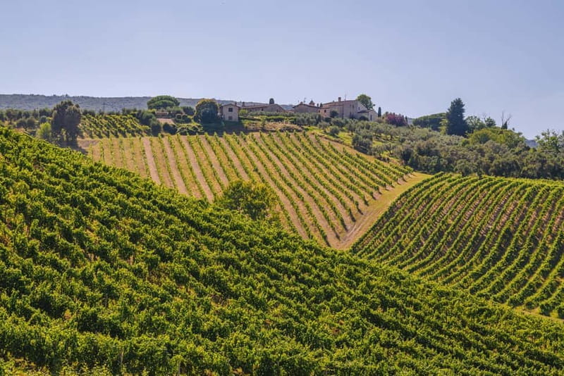 "Santa Chiara" wine tasting - Palagetto winery - Key Points